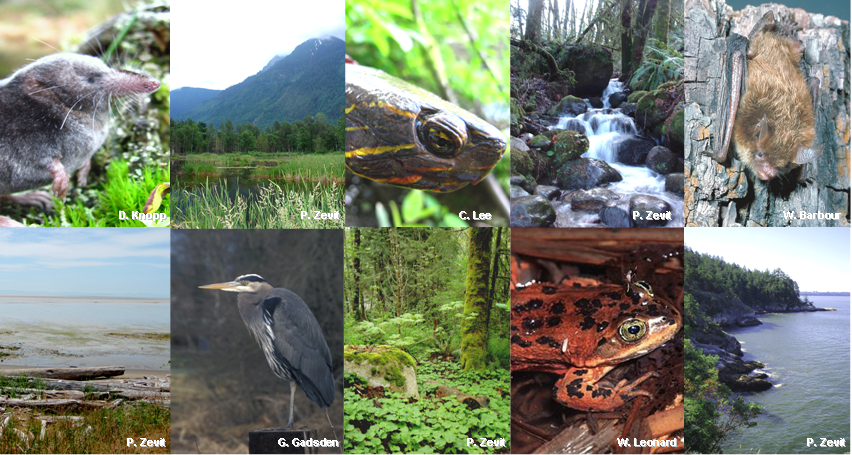 Species and Habitat