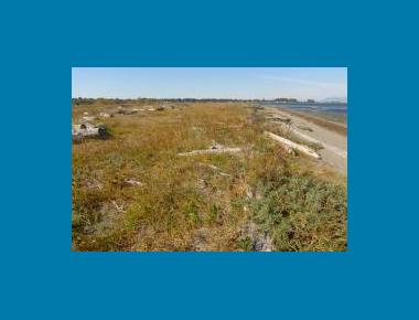 Boundary Bay Regional Park