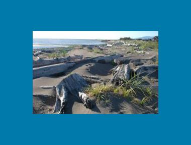 Iona Beach Regional Park