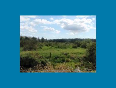 Colony Farm Regional Park P. Zevit