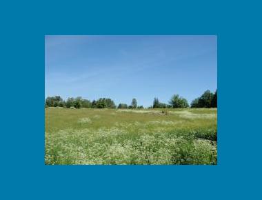 Campbell Valley Regional Park P. Zevit