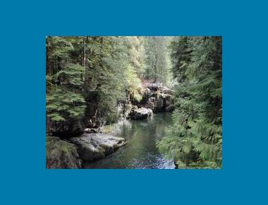 Capilano River P. Zevit