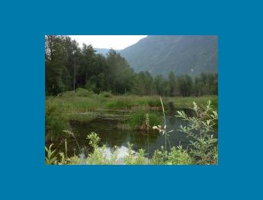 Cheam Wetlands P. Zevit