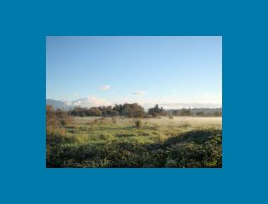 Colony Farm Regional Park P. Zevit