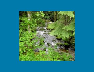 Preferred habitat characteristics