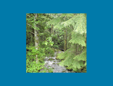 Upper Coquitlam Watershed P. Zevit