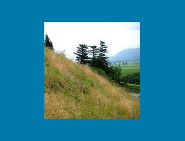 Garry Oak Meadow (Sumas Mntn.) P. Liley