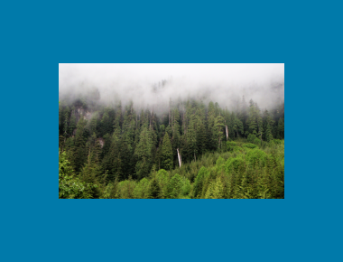 Upper Coquitlam Watershed P. Zevit