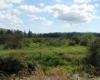 Colony Farm Regional Park P. Zevit