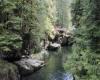 Capilano River P. Zevit