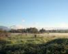 Colony Farm Regional Park P. Zevit
