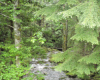 Upper Coquitlam Watershed P. Zevit