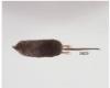 Olympic Shrew (dorsal veiw) R&V Rausch 2008
